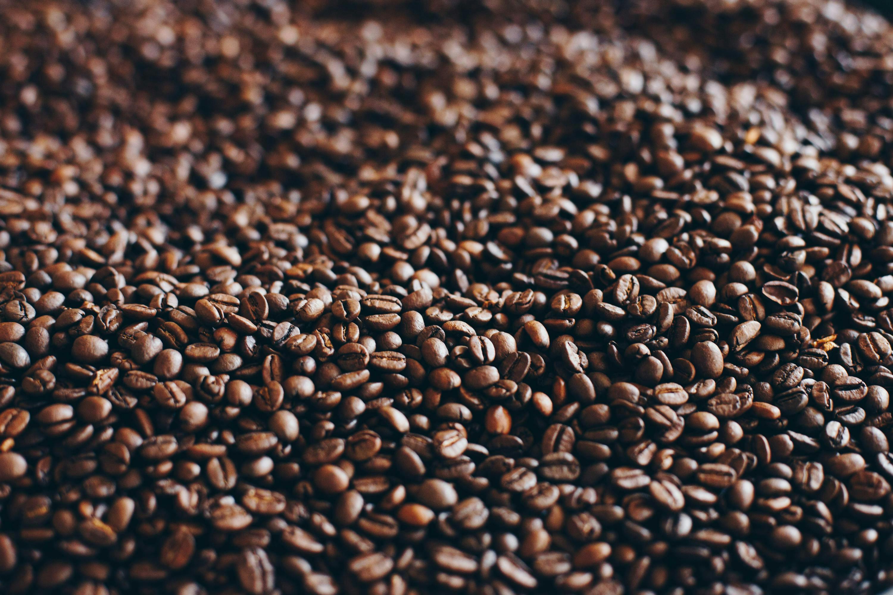 Enhancing Coffee Production in Kenya: Strategies for Success
