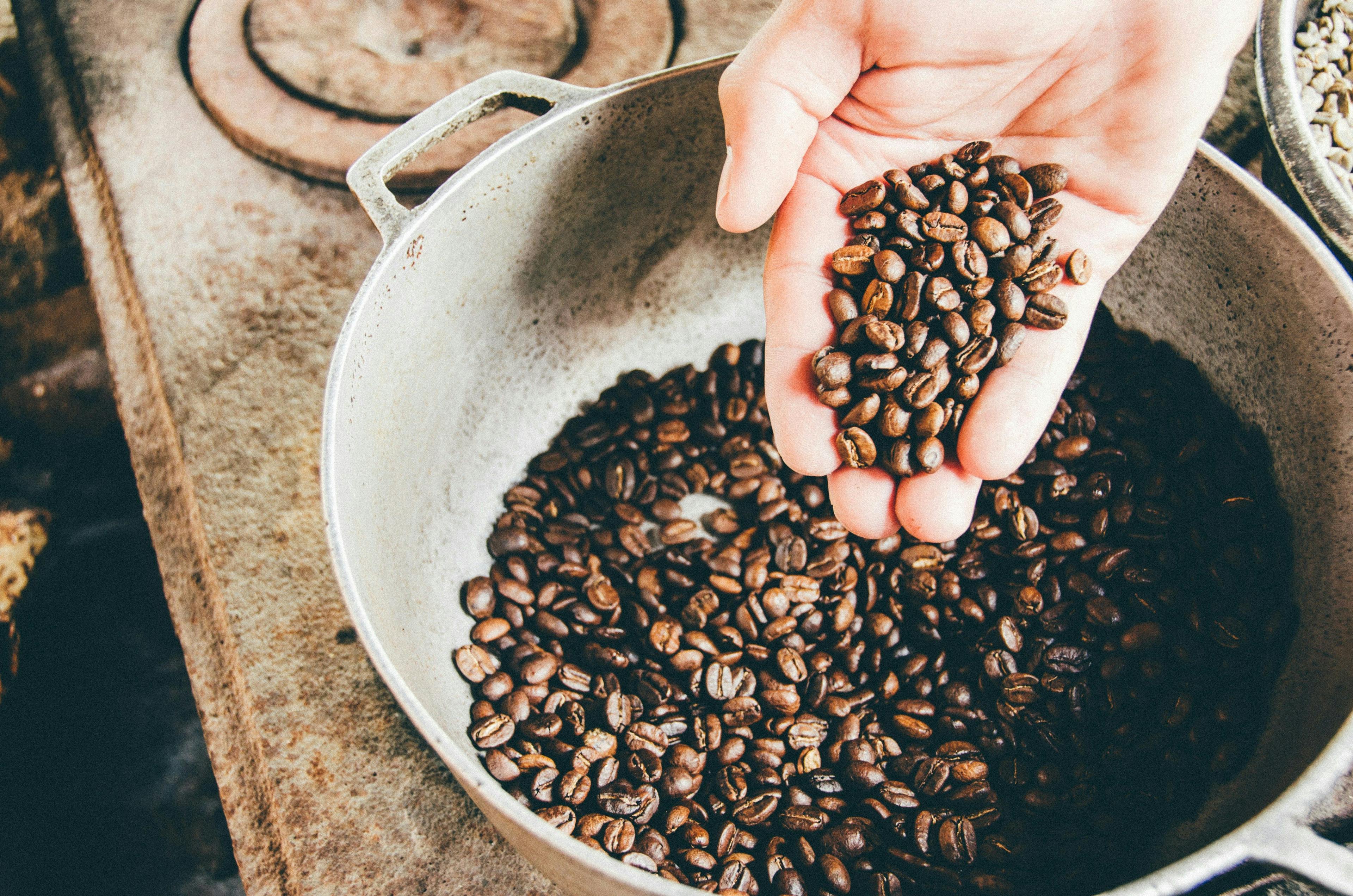 Increase Coffee Production as a farmer